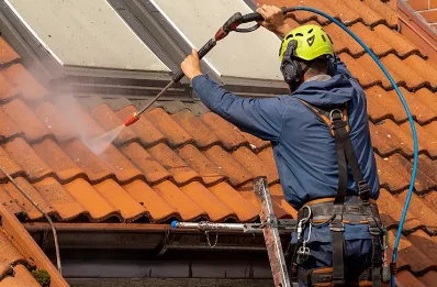 Démoussage et hydrofuge de toiture à la Flachère